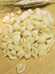 conchigliette: 2. obrázek